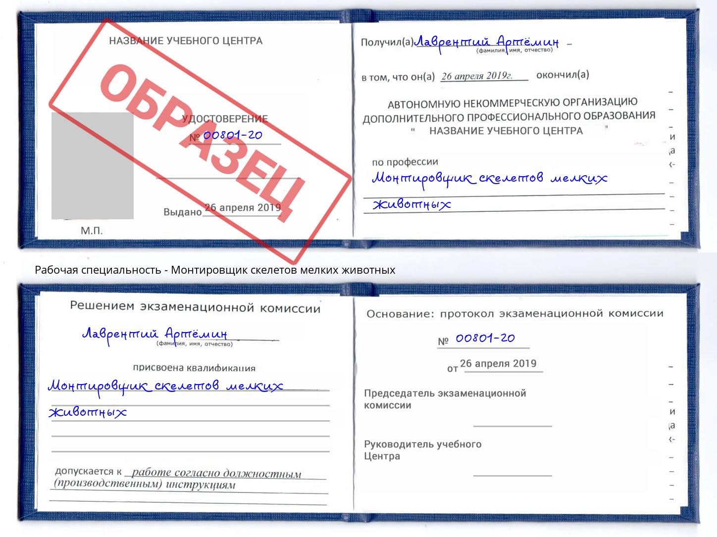 Монтировщик скелетов мелких животных Донской