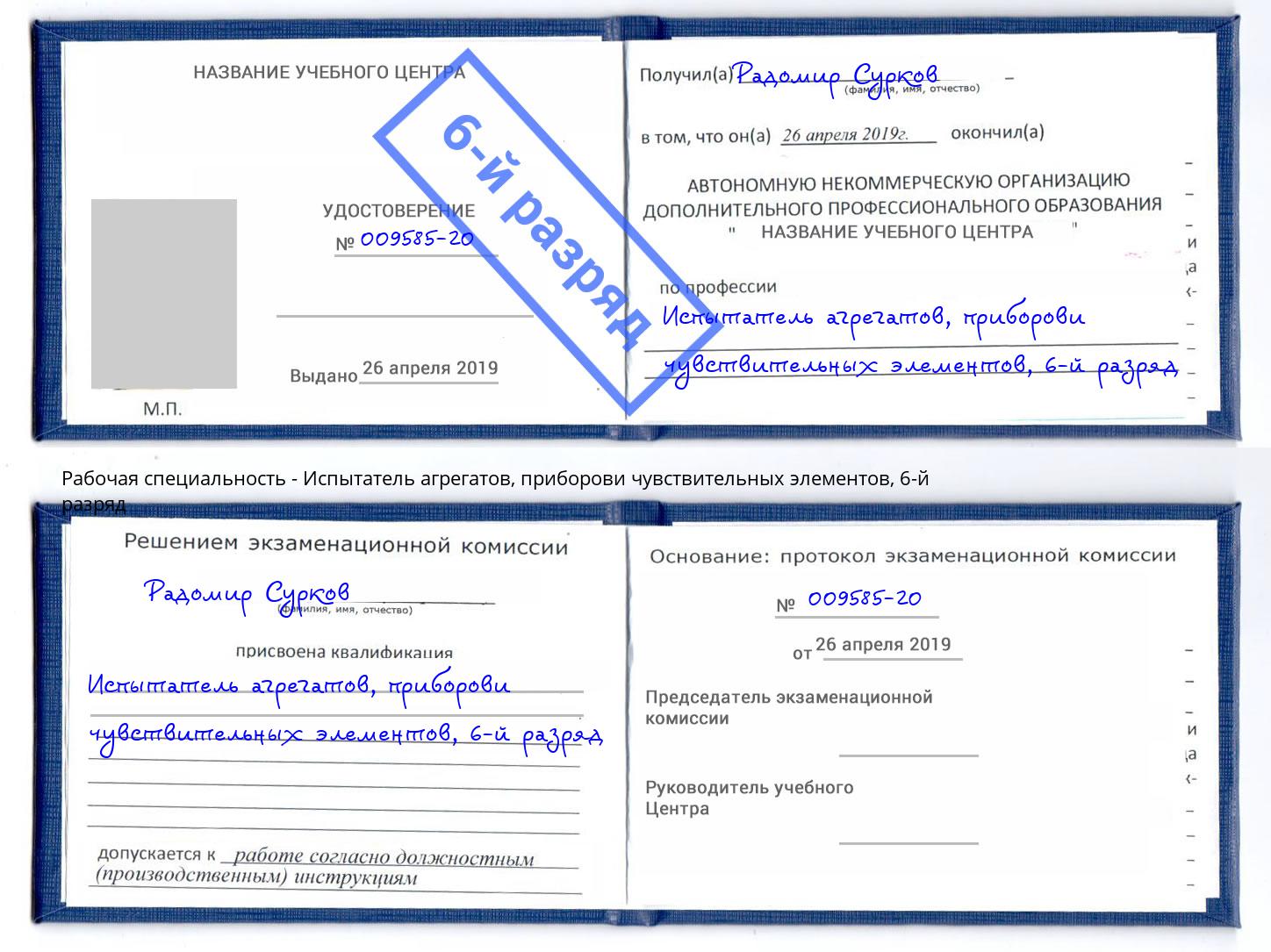 корочка 6-й разряд Испытатель агрегатов, приборови чувствительных элементов Донской