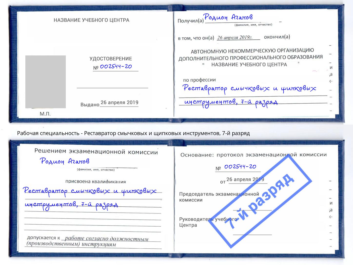 корочка 7-й разряд Реставратор смычковых и щипковых инструментов Донской