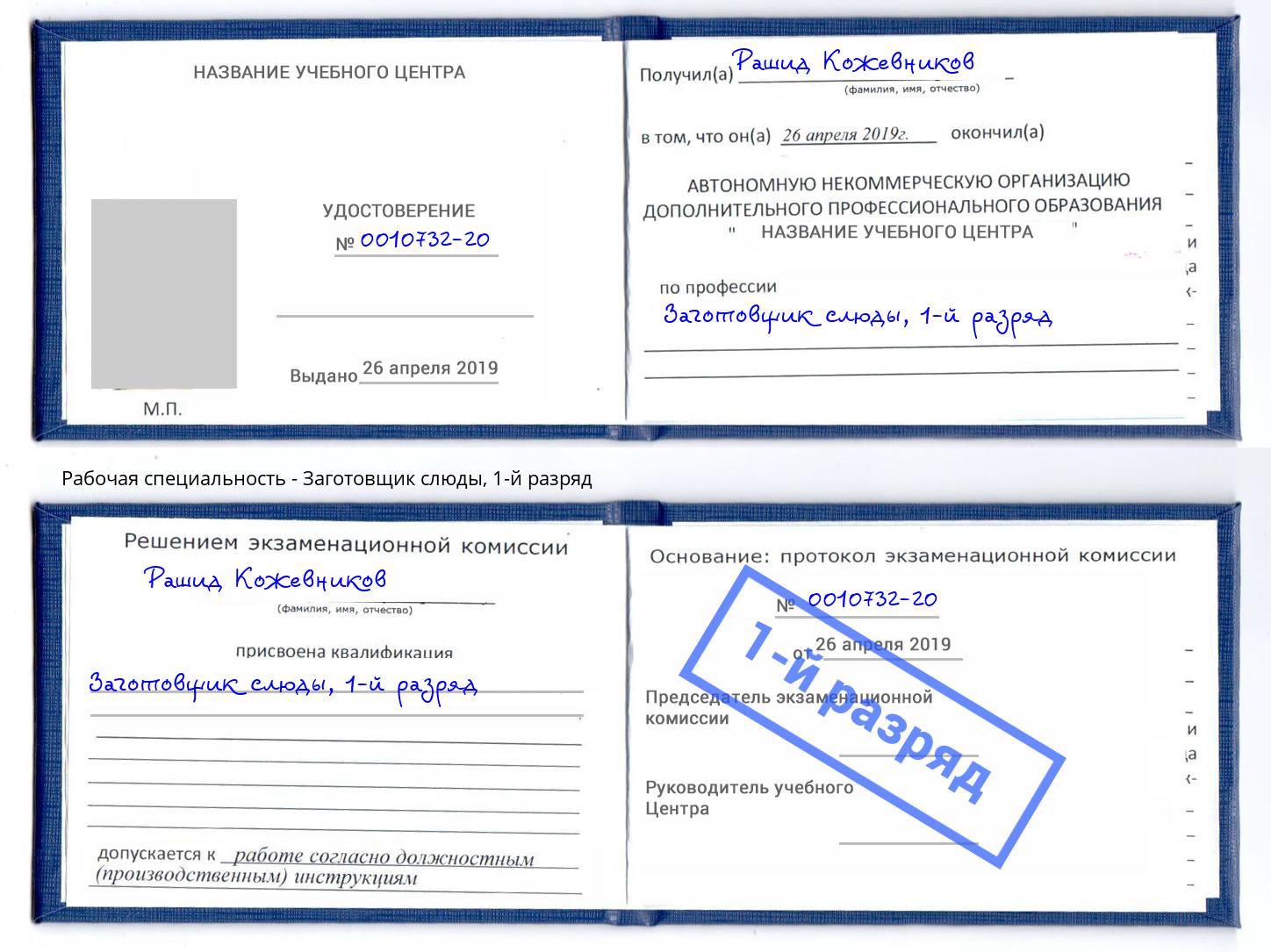 корочка 1-й разряд Заготовщик слюды Донской