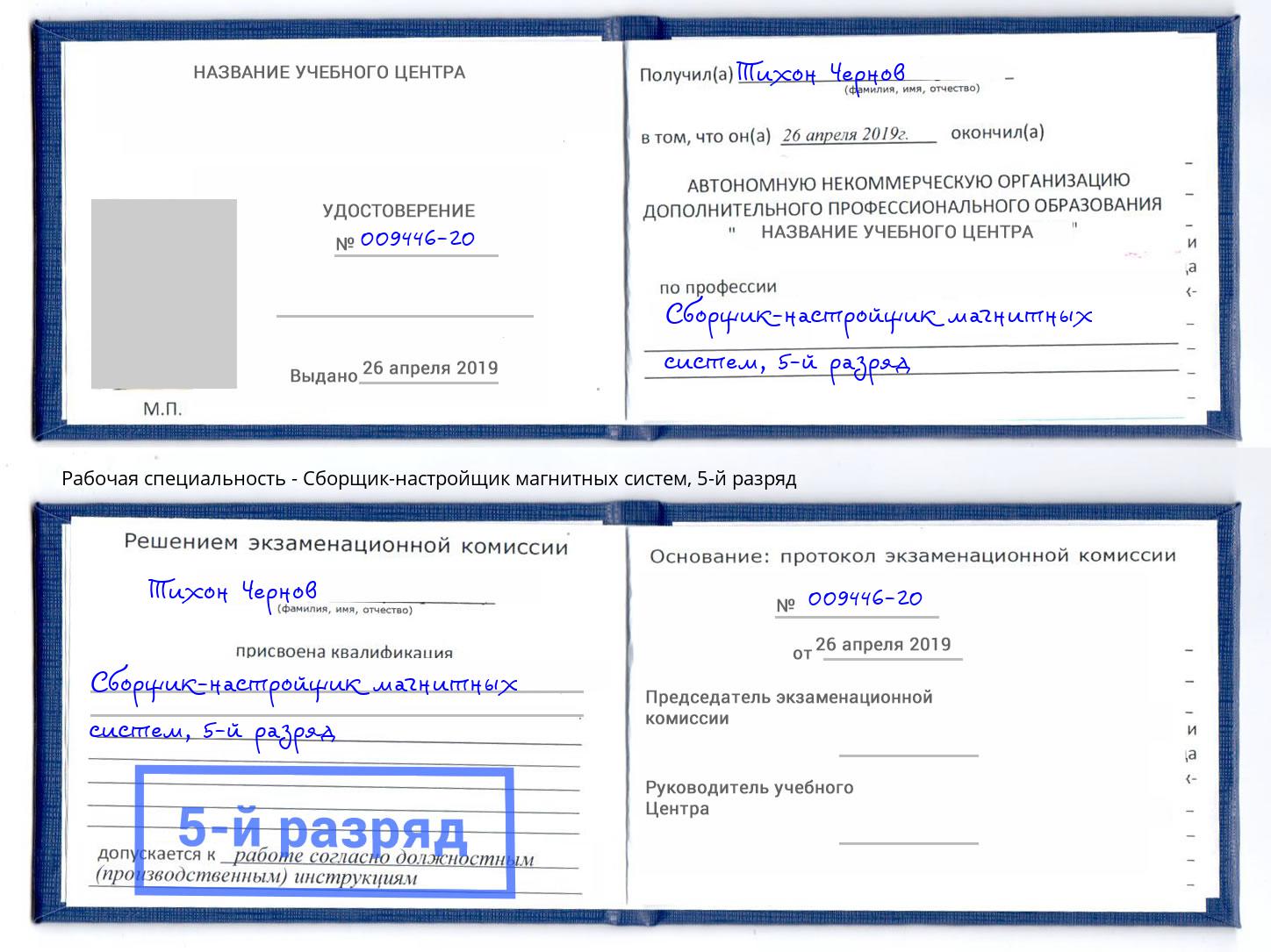 корочка 5-й разряд Сборщик-настройщик магнитных систем Донской